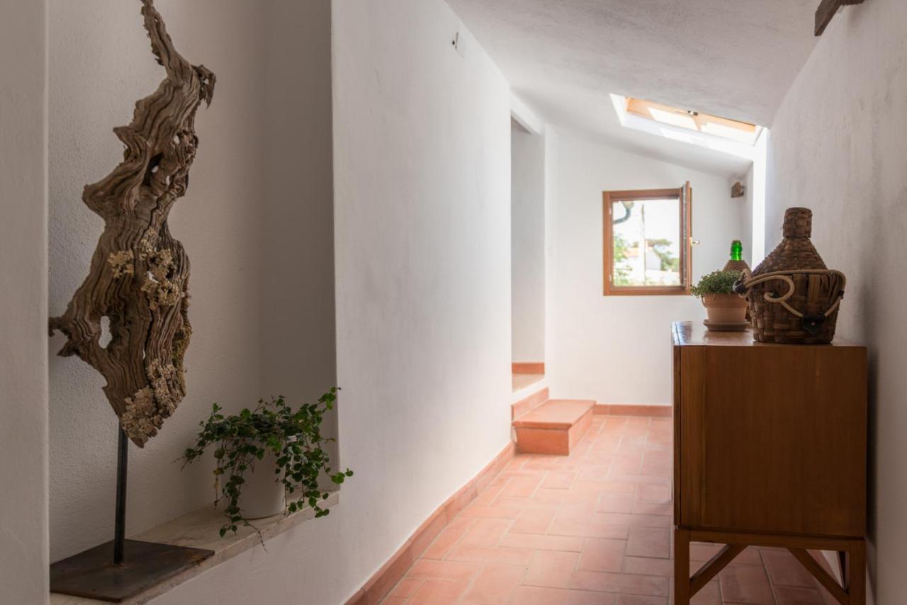 Agriturismo Schiaccia Ghiande Massa Marittima Dış mekan fotoğraf