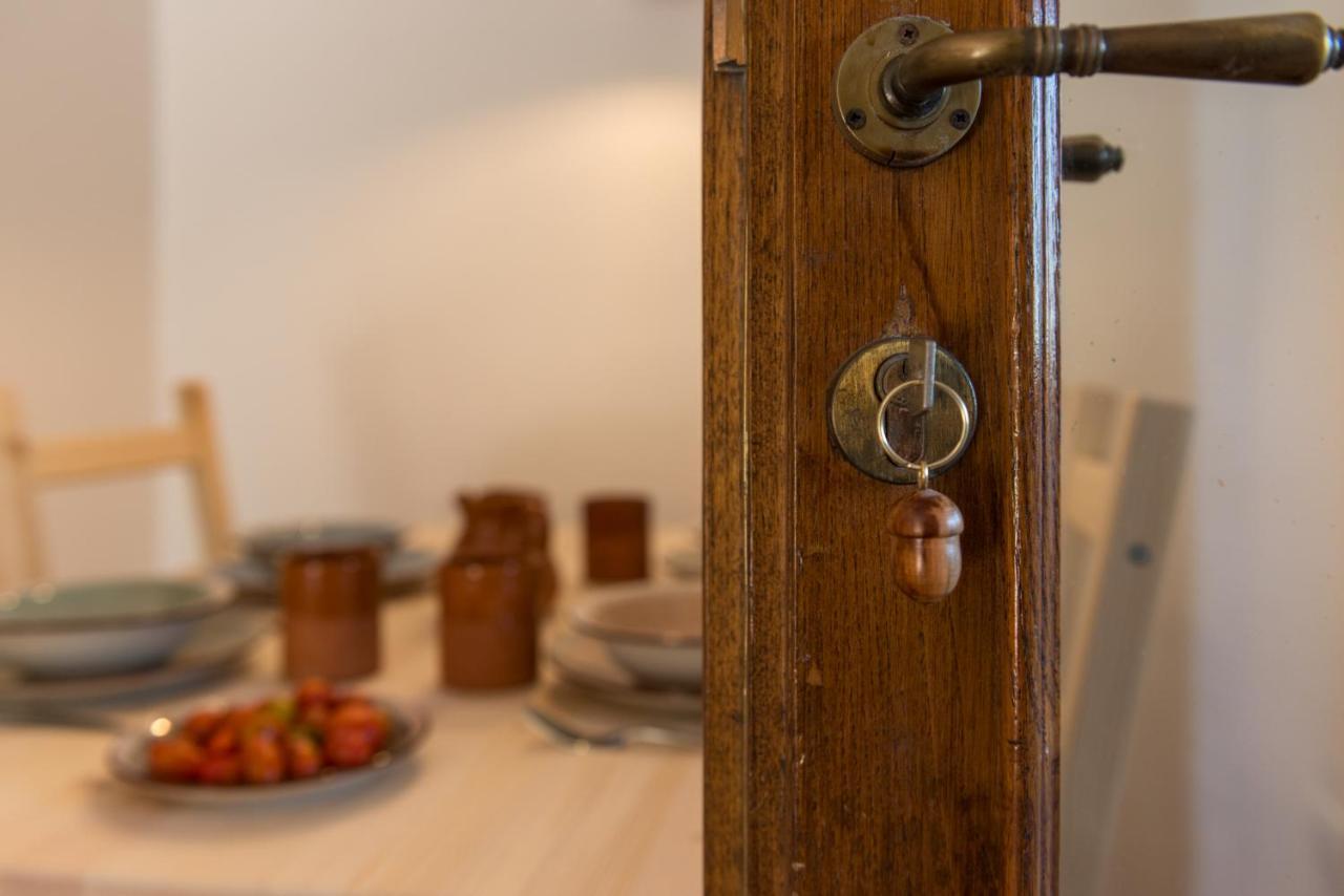 Agriturismo Schiaccia Ghiande Massa Marittima Dış mekan fotoğraf